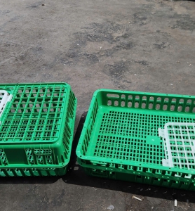 Lồng Vận Chuyển Gà Vịt